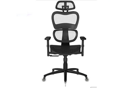 best NOUHAUS Ergo3D Ergonomic Office Chair for sciatica pain