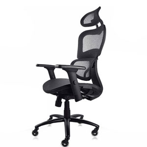 NOUHAUS ergonomic office chair under $300