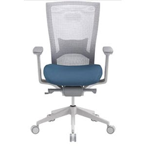 SIDIZ T50 Highly Adjustable Ergonomic Office Chair for sciatica pain 