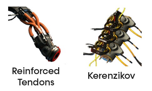 Reinforced Tendons and Kerenzikov