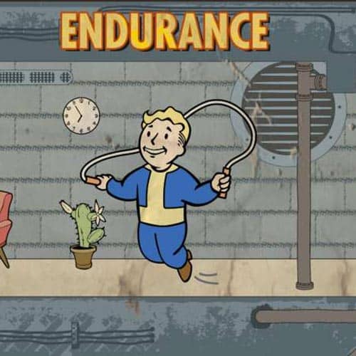 Fallout 4 Endurance