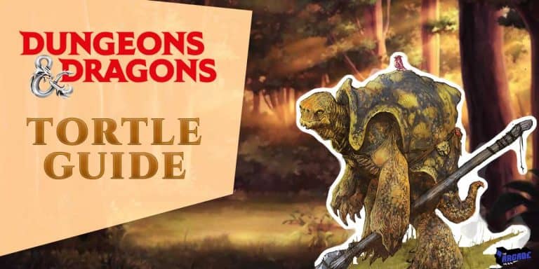 D&D Tortle Guide | Is The Tortle Race Good?