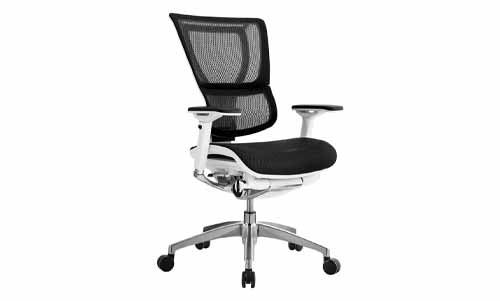 Eurotech best chair for si joint pain