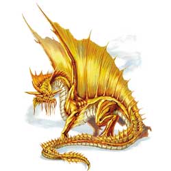 Young Gold Dragon 