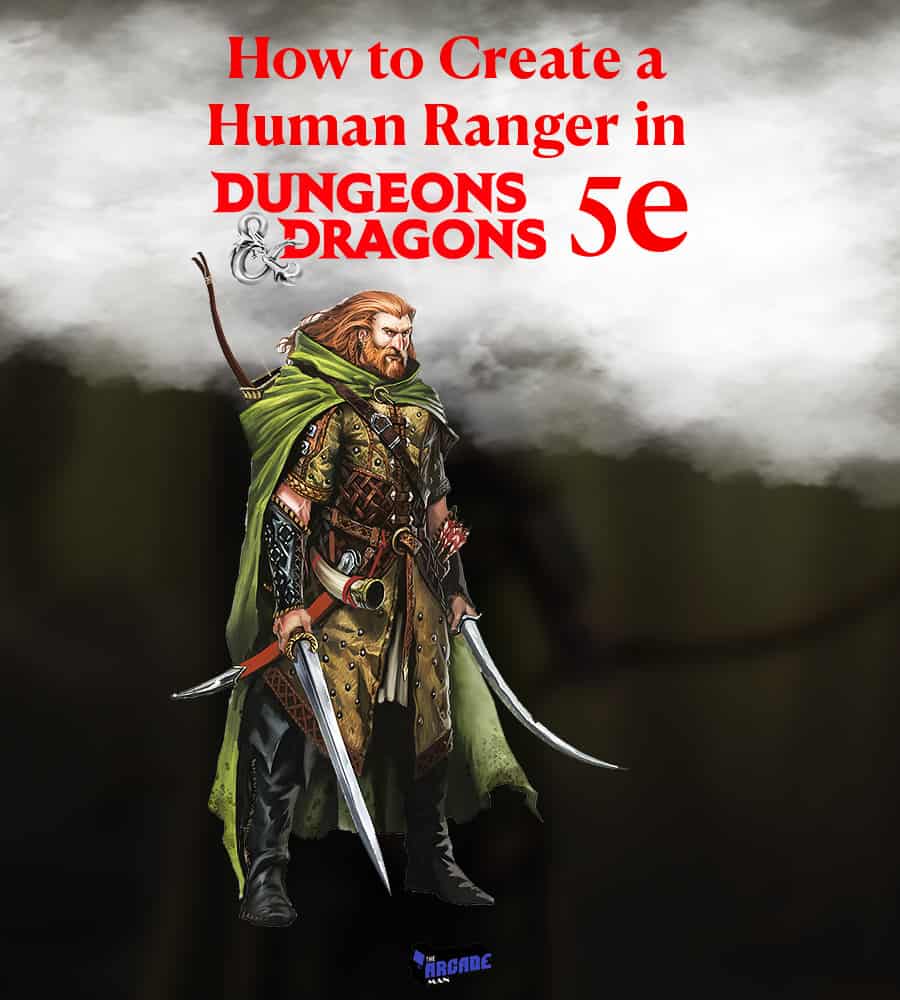 How To Create A Human Ranger In D&D 5e