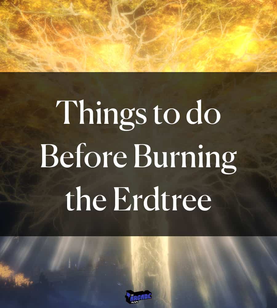 Things to do Before Burning the Erdtree 